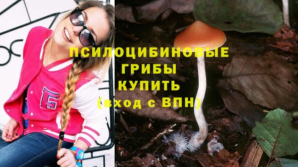 a pvp Баксан